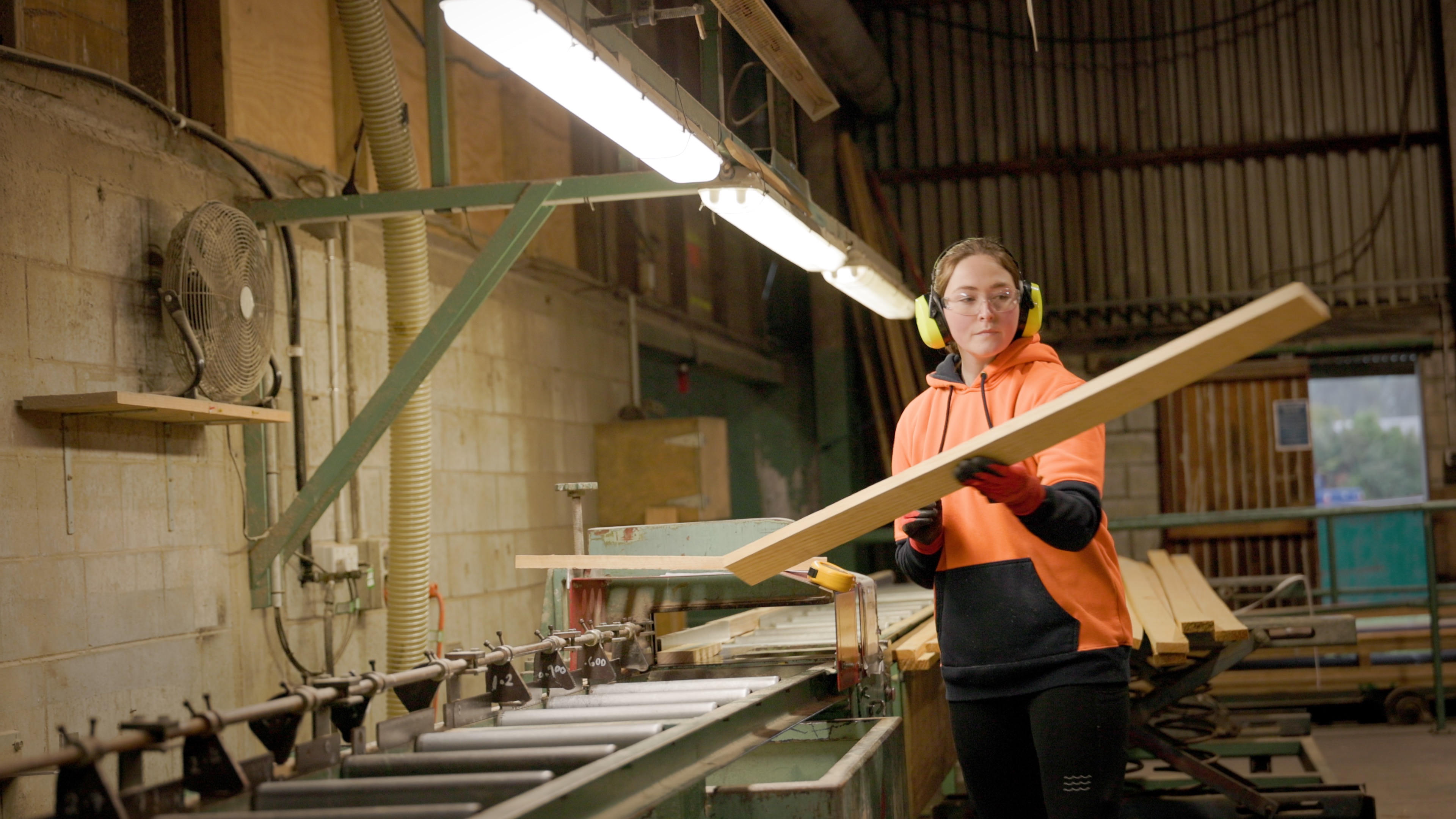 Worker in factory holding plank of wood. Wearing ear muffs and safety goggles.