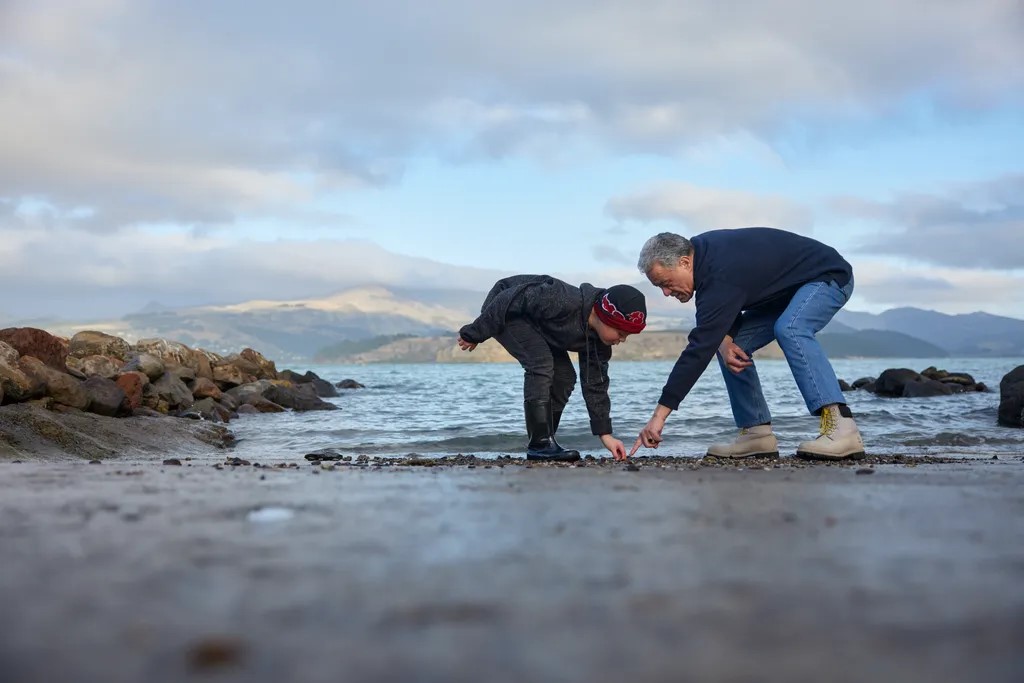 Grandfather and child on beach collecting shells