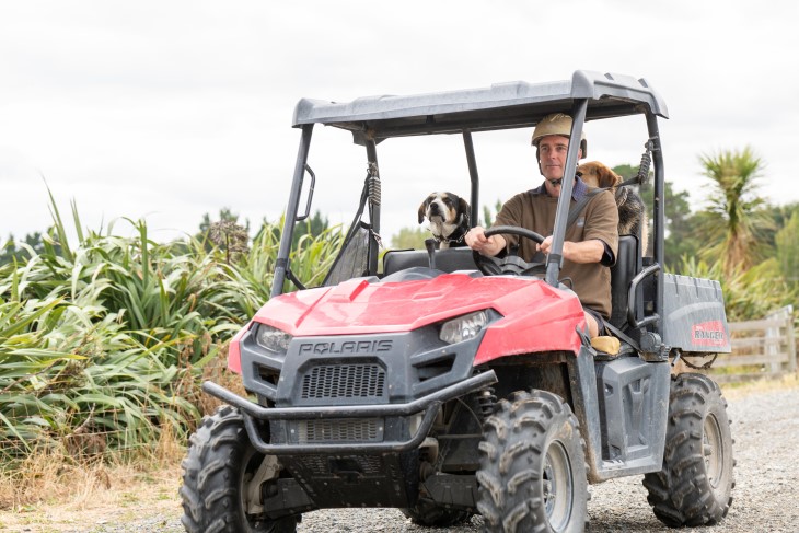 A farmer driving a quad bike with two dogs sitting behind him.