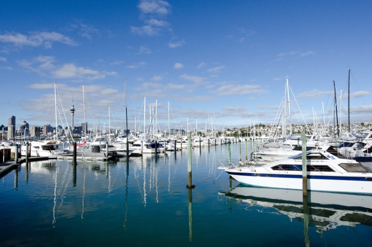 A large number of boats docked in a marina in Auckland. 